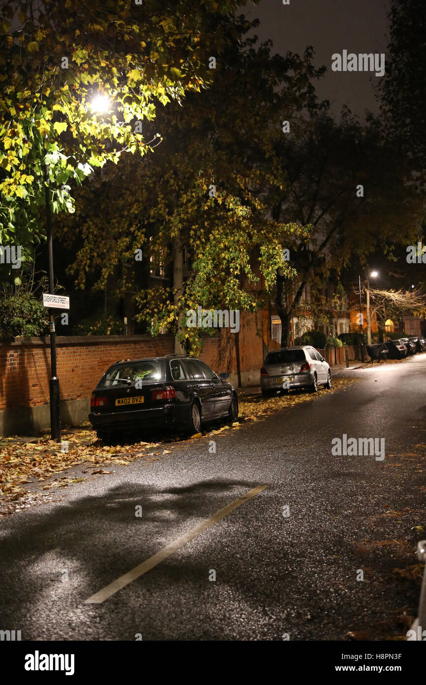Caduto Foglie di autunno coprire i marciapiedi e strada in un tipico South London street dopo il tramonto su una notte ad umido Foto Stock