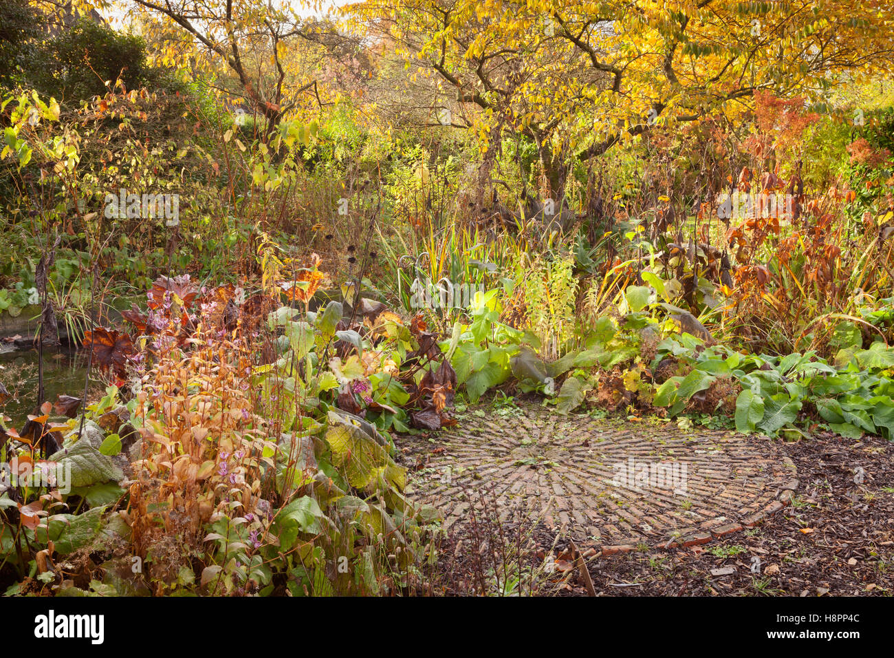 Hall Farm giardino, Harpswell, Lincolnshire, Regno Unito. In autunno, novembre 2016. Foto Stock