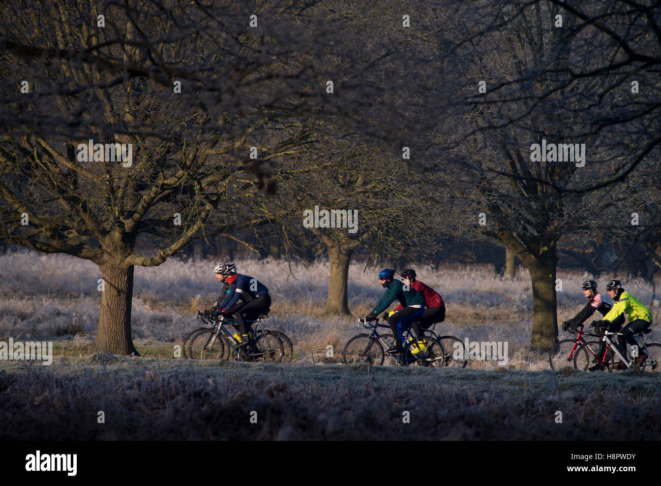 Inverno mattina presto persone che esercitano in Richmond Park London Foto Stock