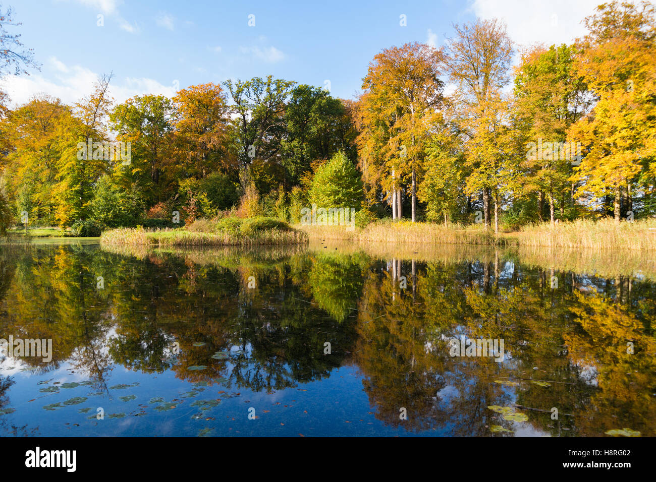 La riflessione di colori d'autunno alberi in stagno di country estate Boekesteyn, 's Graveland, Paesi Bassi Foto Stock