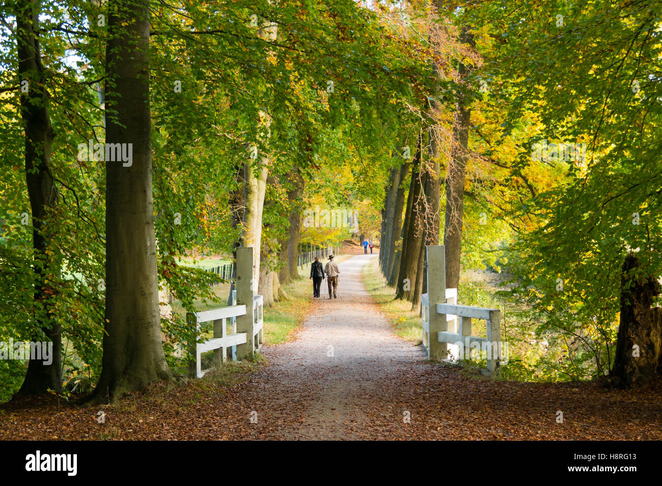 Le persone attive a piedi lungo il sentiero nel bosco in autunno su station wagon Boekesteyn, 's Graveland, Paesi Bassi Foto Stock