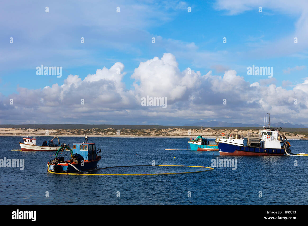 Sud Africa, Western Cape, Lambert's Bay; draghe di diamante Foto Stock