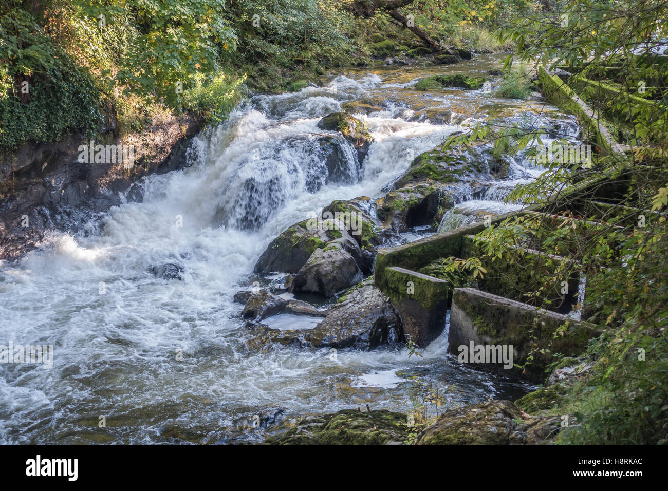 Una vista del fiume Deschutes e una scaletta di pesce. Foto Stock