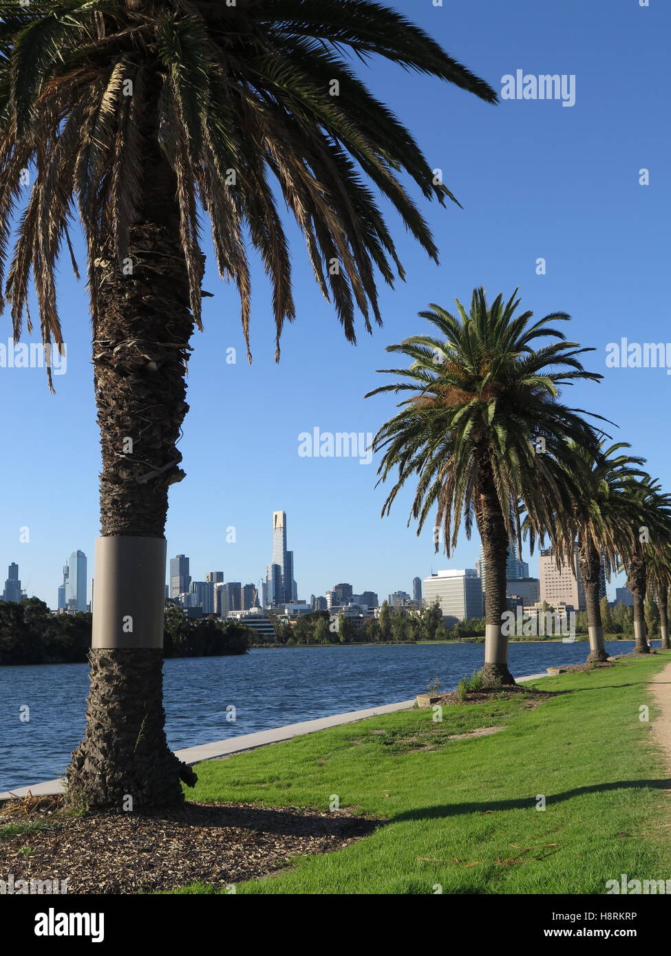 Vista della città di Melbourne, Australia, guardando attraverso il lago in Albert Park. Foto Stock