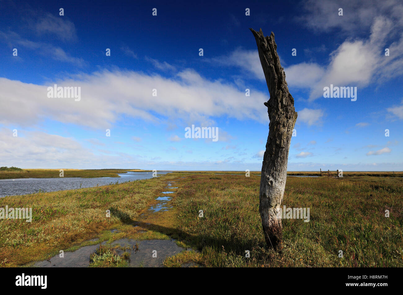 Vecchi pali in legno a Thornham porto sulla Costa North Norfolk. Foto Stock