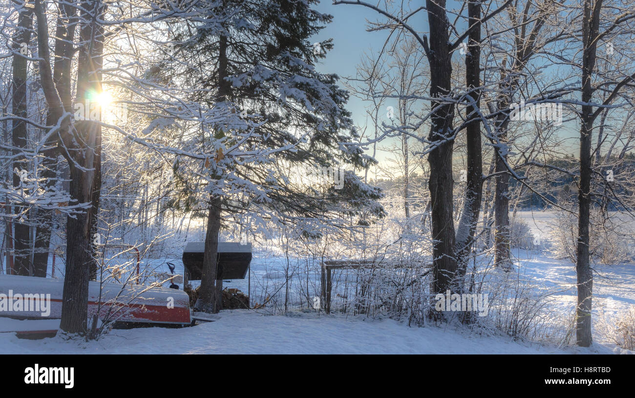 Inverno sunrise mattina in un cottage torna boschi. Foto Stock