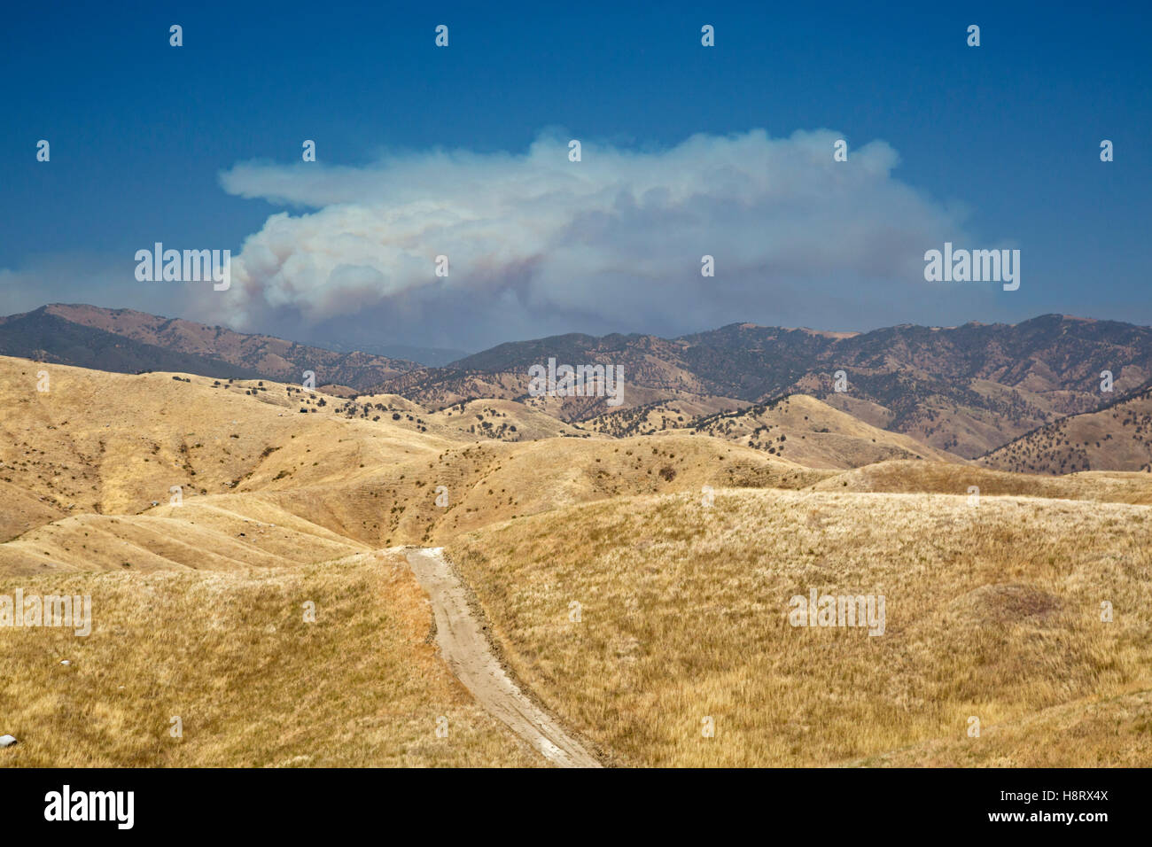 Caliente, California - Fumo di un incendio nelle montagne della Sierra Nevada. Foto Stock