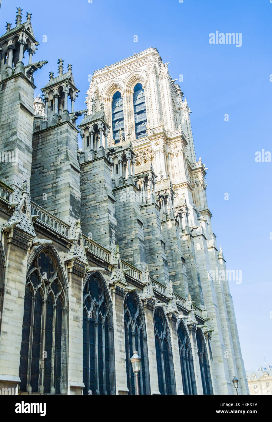 La cattedrale di Notre Dame di Parigi, Francia. Foto Stock