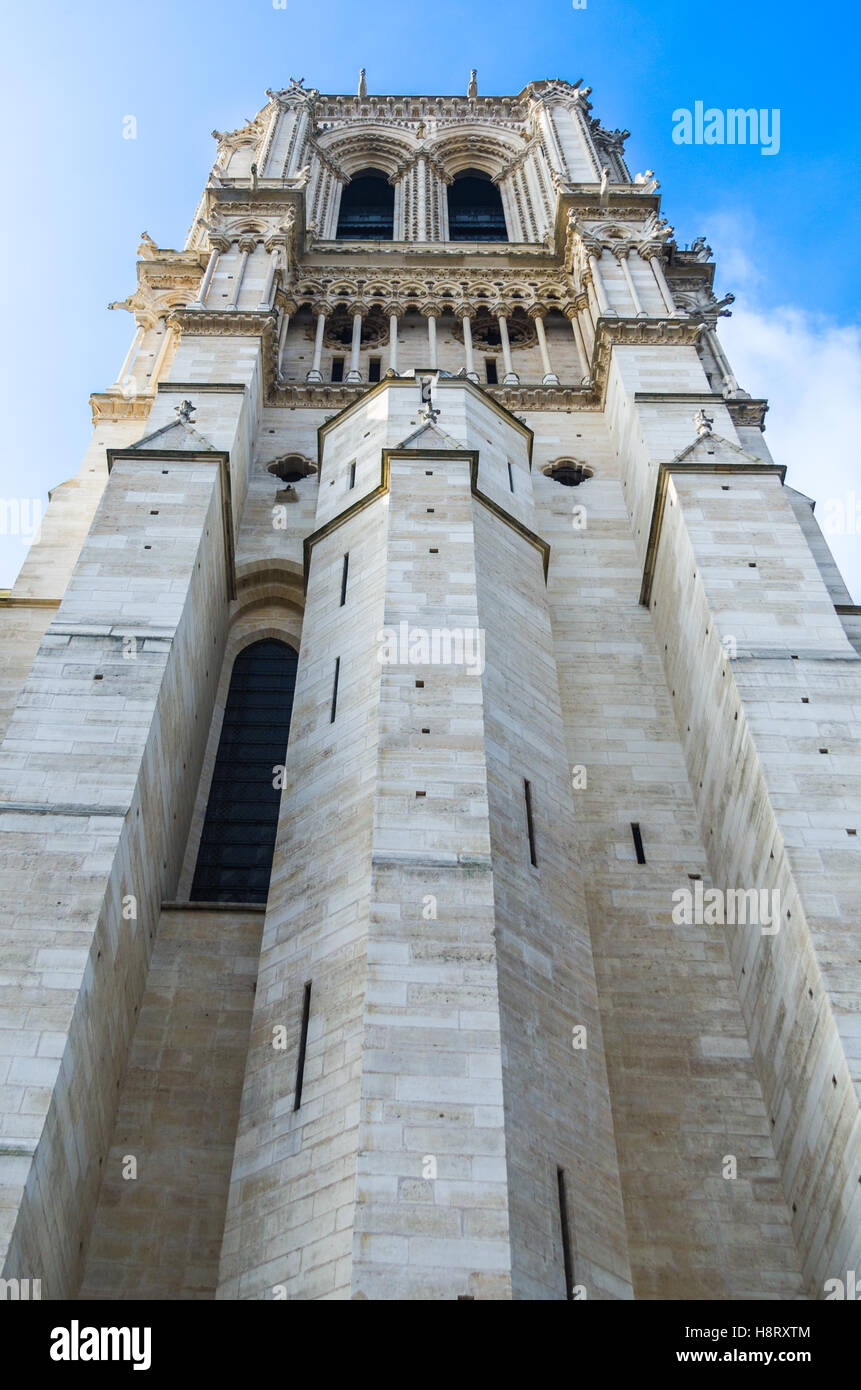 La cattedrale di Notre Dame di Parigi, Francia. Foto Stock