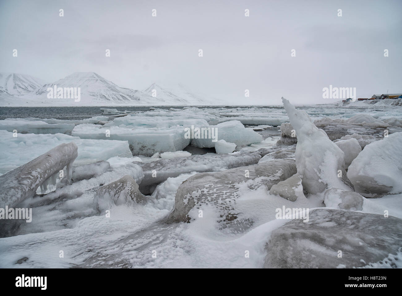 Mare la formazione di ghiaccio - pancake ice -su Adventfjorden, Spitsbergen Seeeis im Adventfjorden bei Longyearbyen, Svalbard, Norvegia Foto Stock