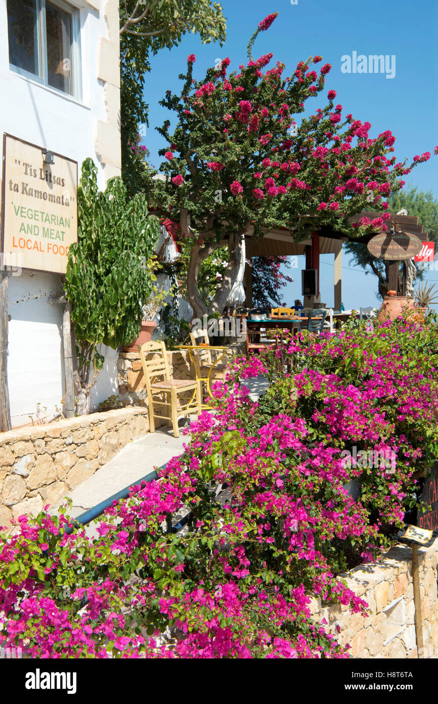 Griechenland, Kreta, Halbinsel Rodopou (Rodopos), Taverne Tis Litsas Ta Kamomata im Dorf Afrata. Foto Stock