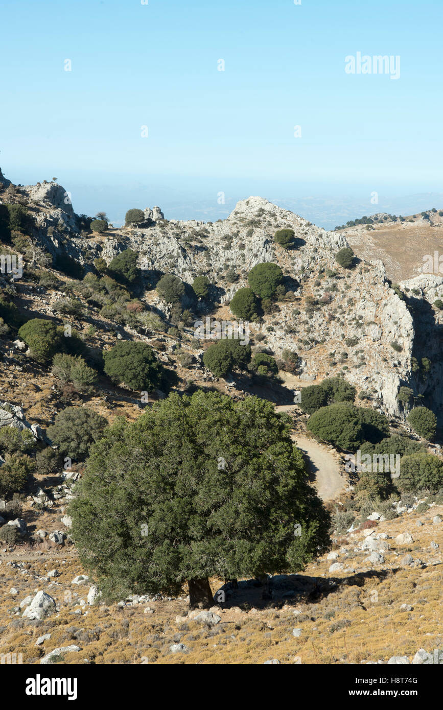 Griechenland, Kreta, Blick von der Strasse von Geraki nach Kaminaki auf der Lassithi-Hochebene Foto Stock