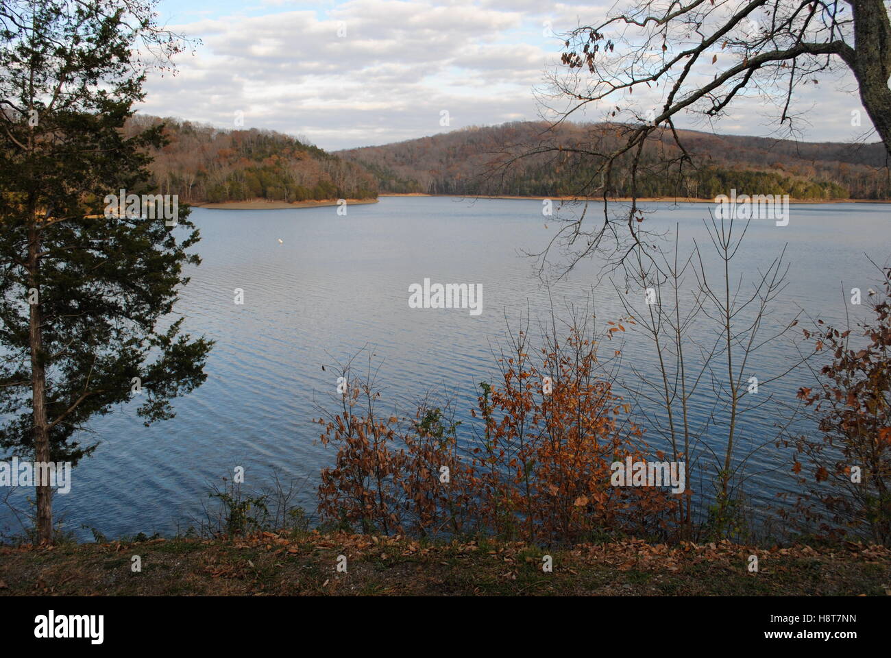 Quiete e serenità in Middle Tennessee Lago Foto Stock