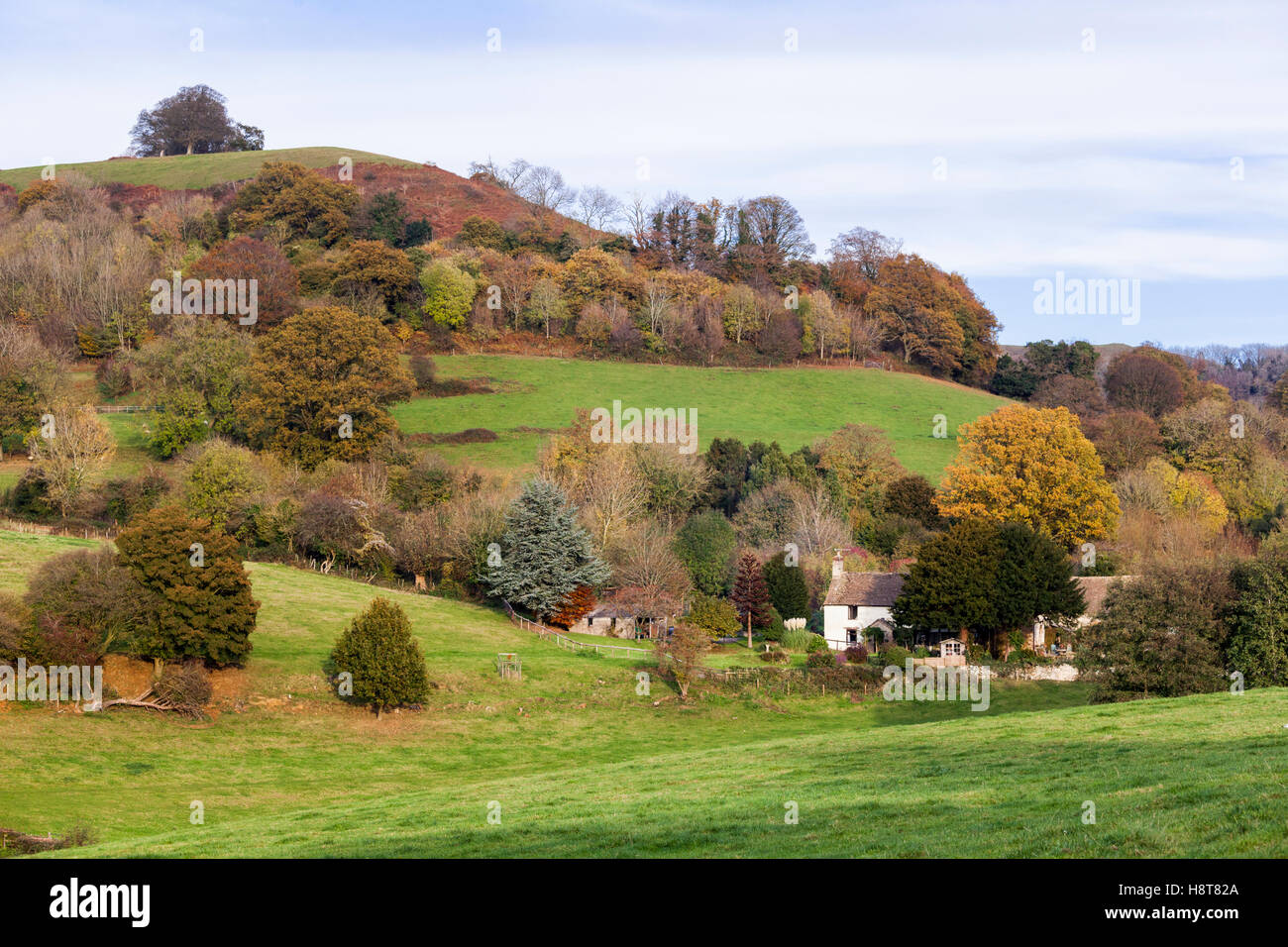Autunno in Cotswolds - Agriturismo Wresden sotto Downham Hill, Uley, GLOUCESTERSHIRE REGNO UNITO Foto Stock