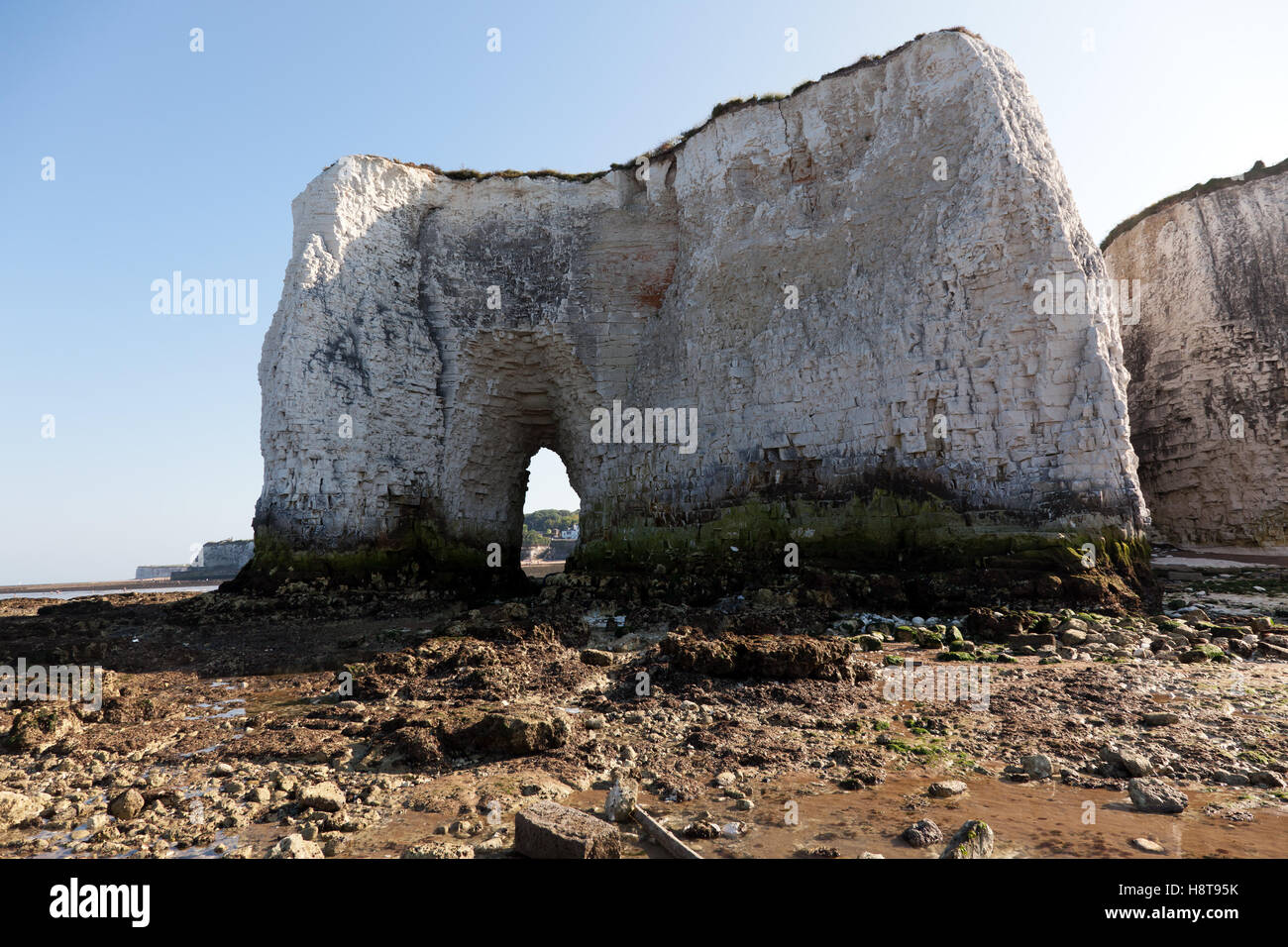 Vista di un Chalk Sea-Arch nelle scogliere a Kingsgate Bay, con la bassa marea. Foto Stock