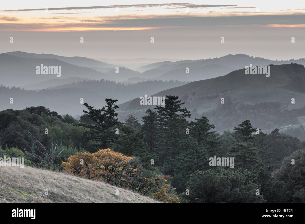 Il russo Ridge Santa Cruz Mountains Colline Tramonto Foto Stock