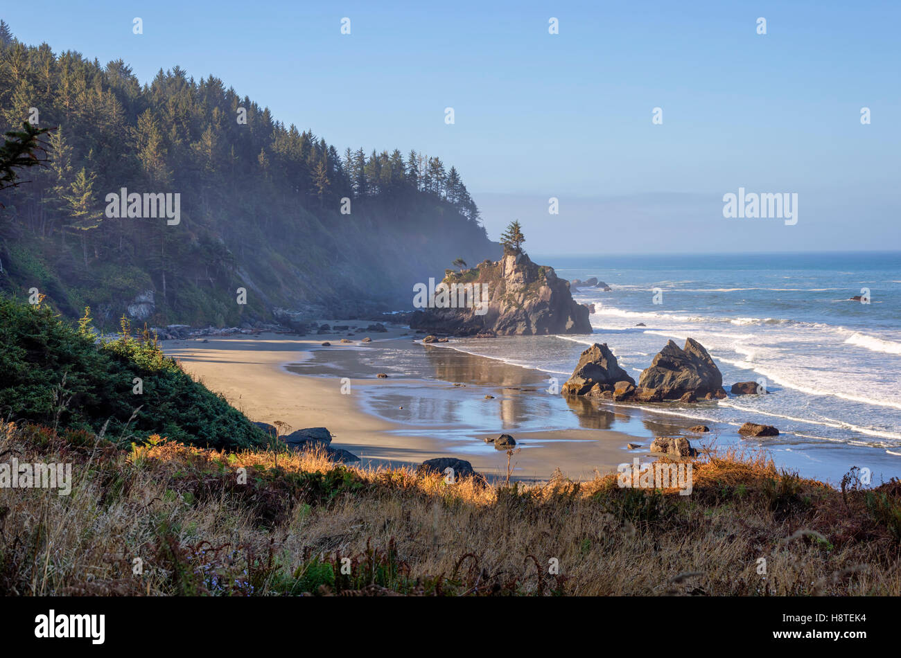 Vista della spiaggia di nascosto. Del Norte Coast Redwoods State Park, California, Stati Uniti d'America. Foto Stock