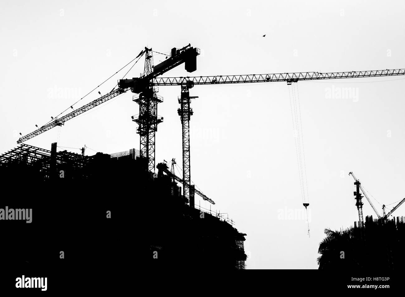 Silhouette di torri di gru e la costruzione degli edifici che nel processo di sviluppo. La fotografia in bianco e nero. Foto Stock