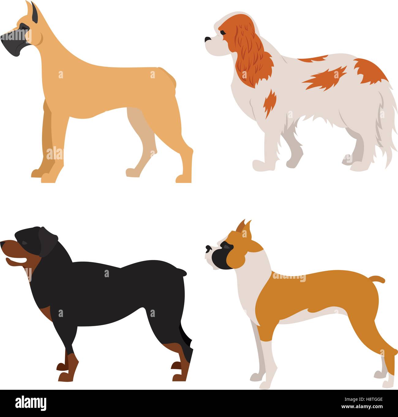 Cani set piatto. Rottweiler e spaniel, giovane cane illustrazione vettoriale Illustrazione Vettoriale