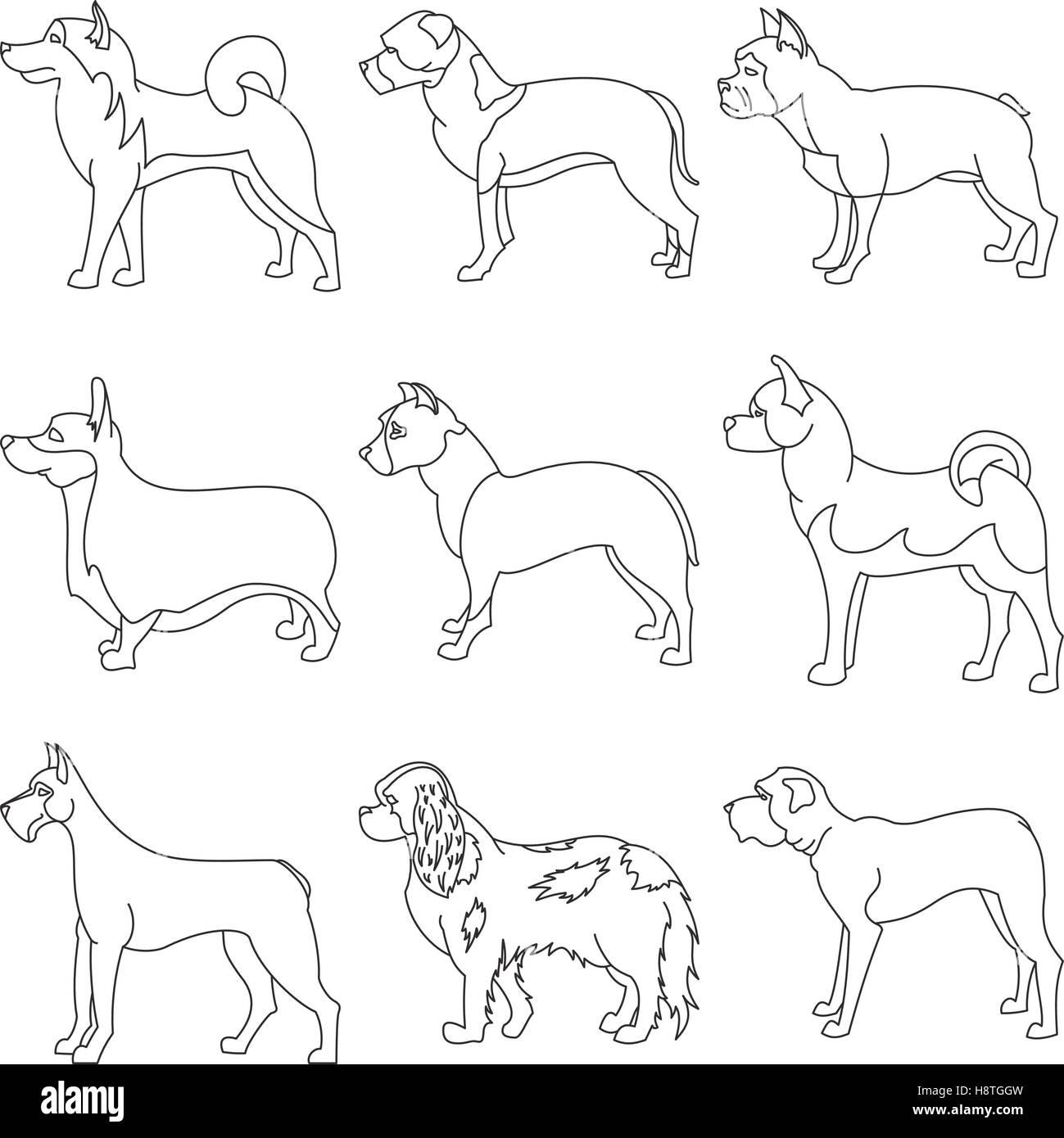 Grande set di cani di razza in stile lineare. Akita e bulldog, corgi e mastiff, illustrazione vettoriale Illustrazione Vettoriale