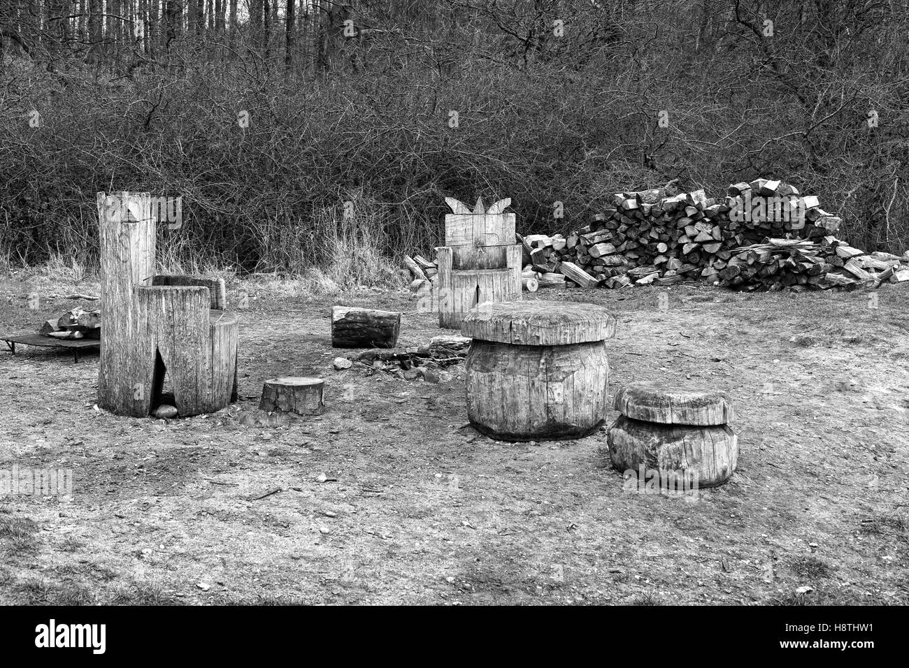 In bianco e nero girato di un posto per un falò in una foresta Foto Stock