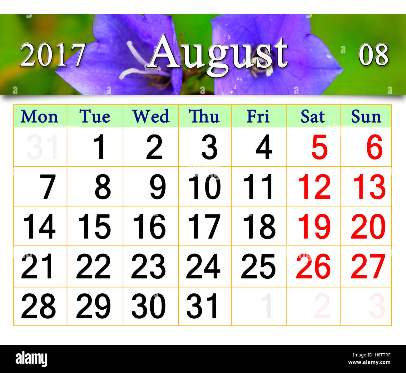 Calendario per il mese di agosto con fiori di fiori lilla bluebells Foto Stock