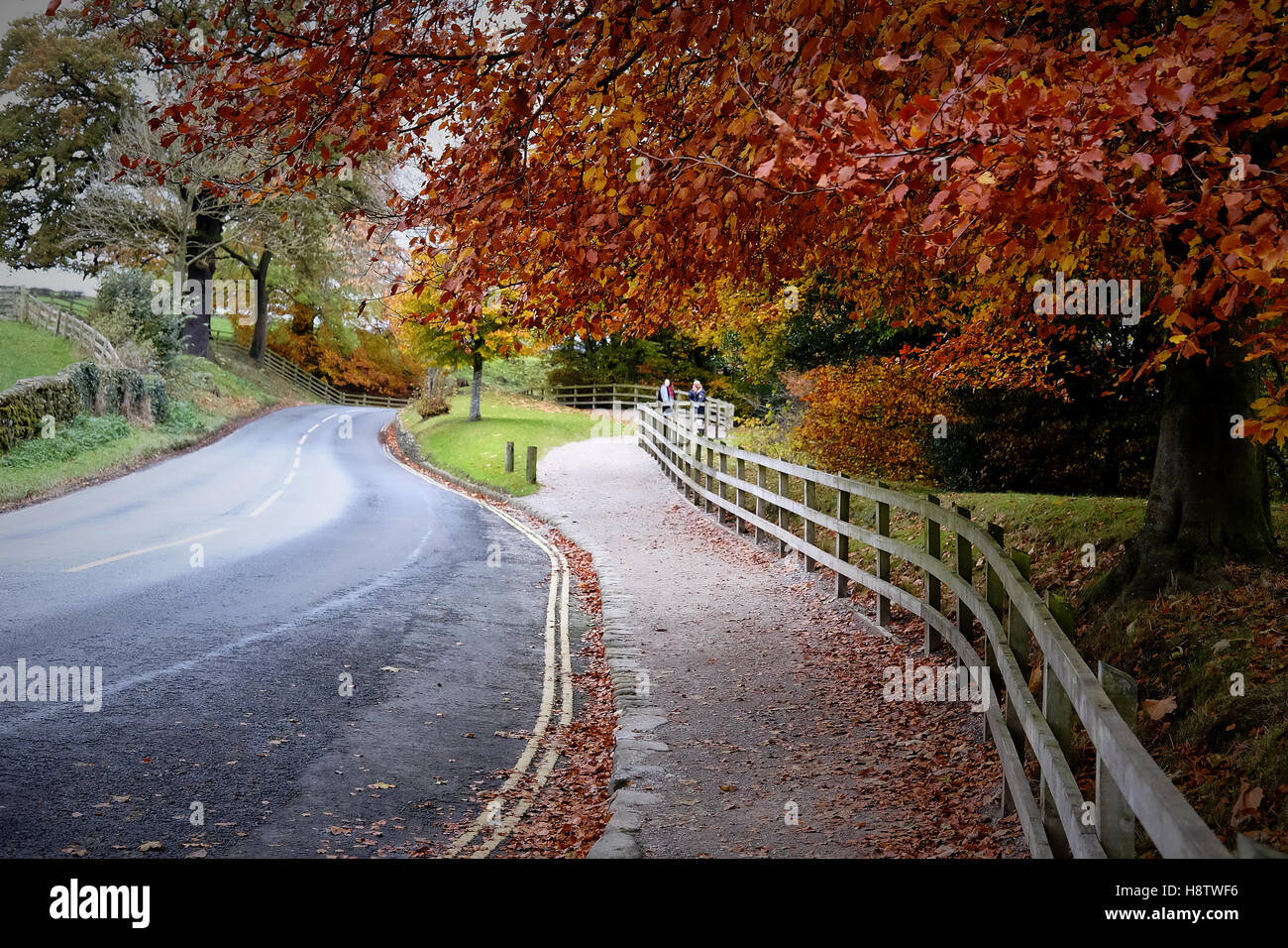 Alberi decidui con rosso, arancio e giallo le foglie in autunno a sbalzo un sentiero da una strada che porta lontano. Foto Stock