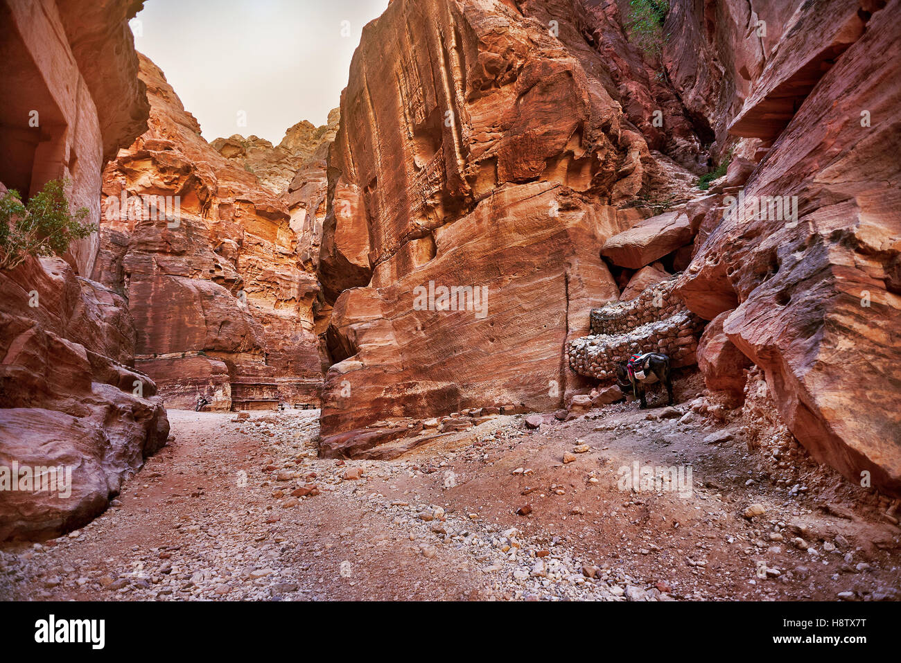 Antica città di Petra, Giordania Foto Stock