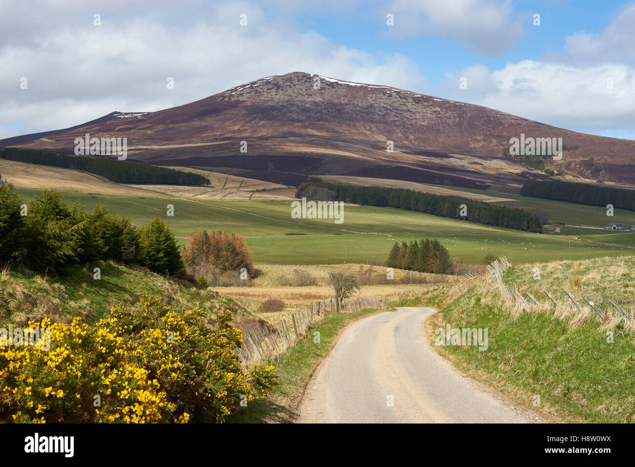 Ben Rinnes da Glenrinnes, murene, Scozia Foto Stock