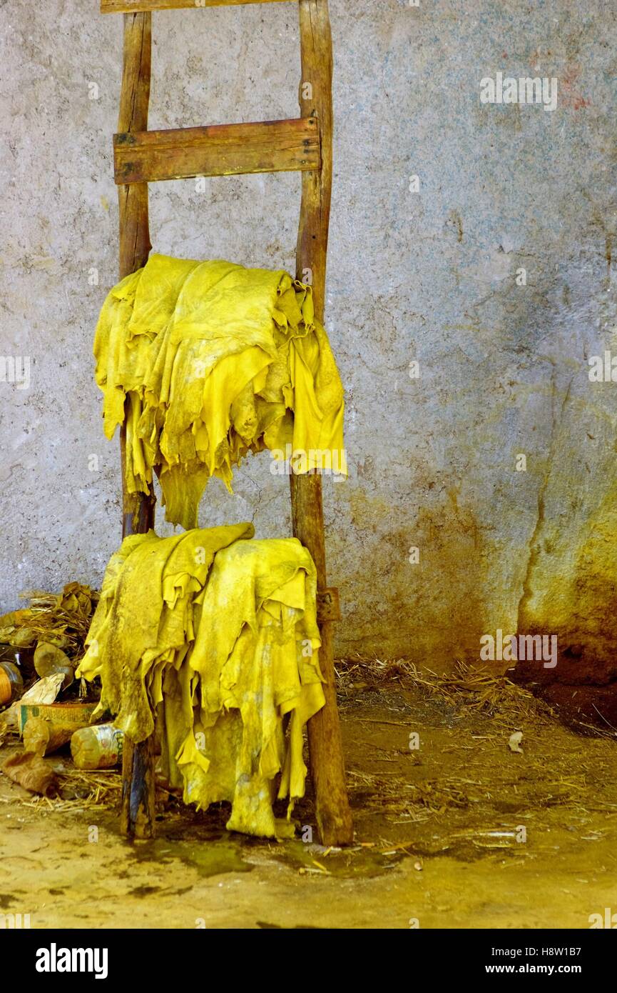 Il cuoio tinto giallo si asciuga su una scala nella vecchia conceria medina, Chouara, a Fez, Marocco. Foto Stock
