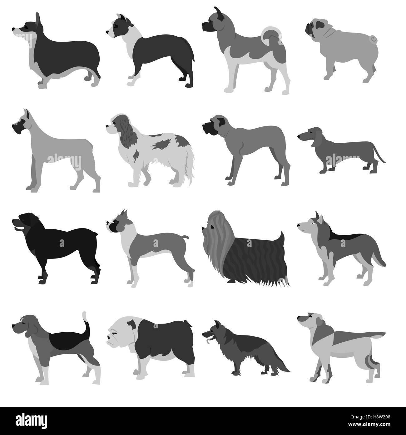 Set di razze di cani Foto Stock