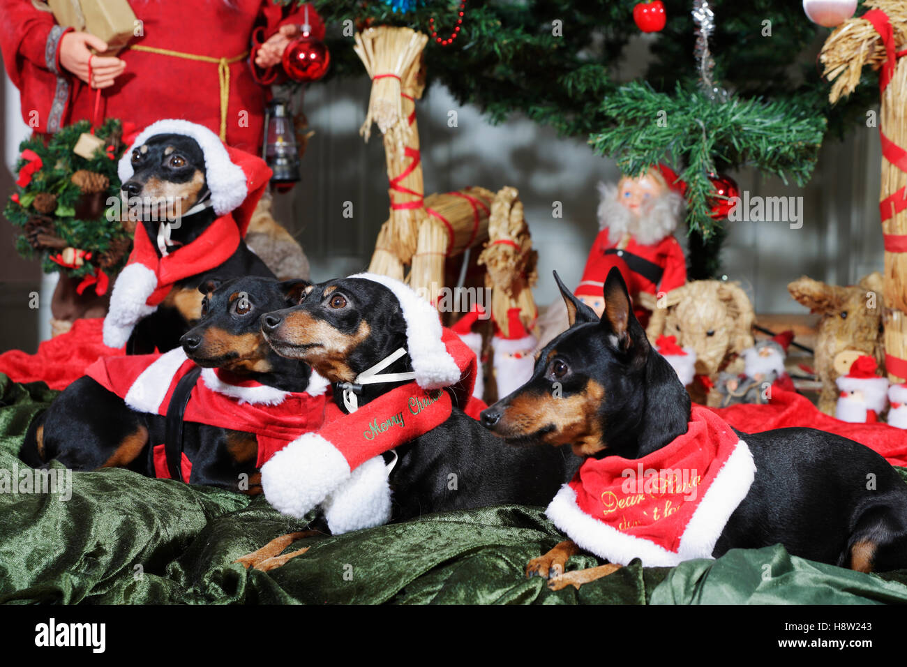 Miniatura-rulli di estrazione che desiderano un Buon Natale Foto Stock