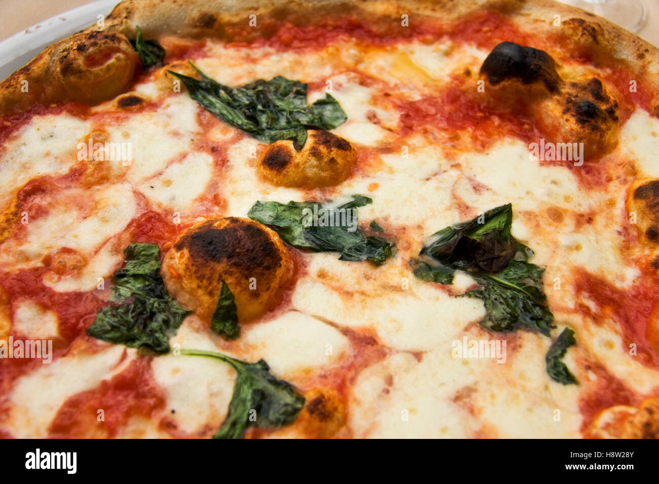 Pizza Napoletana margherita con mozzarella di bufala, famosa da Napoli, Campania, Italia, Europa Foto Stock