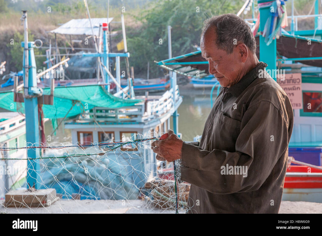 Uomo tailandese raccoglie delle catture di frutti di mare dalla rete da pesca in un villaggio a sud di Hua Hin Foto Stock