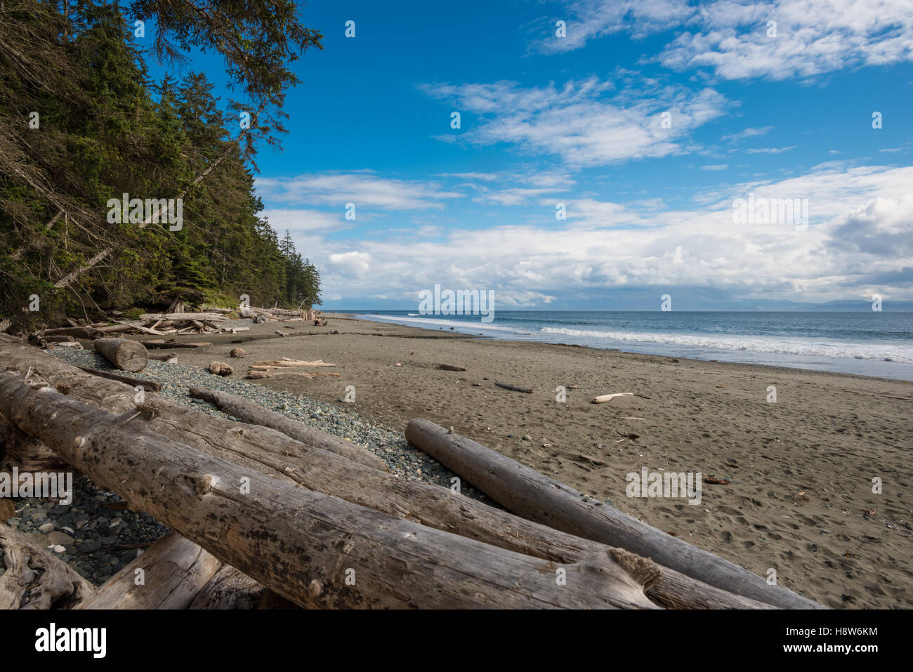 China Beach sulla costa sud dell'isola di Vancouver, British Columbia, Canada. Foto Stock