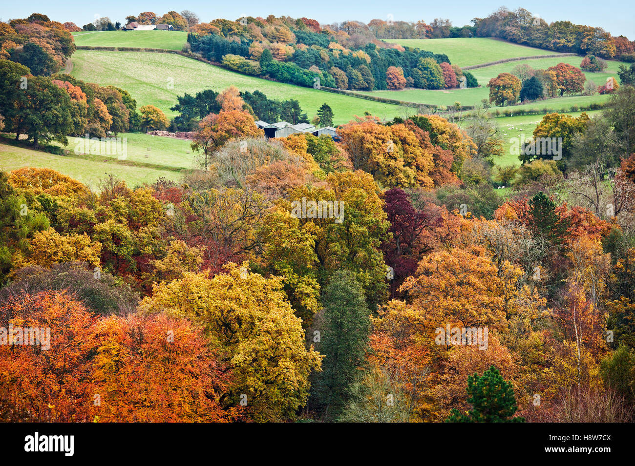 Paesaggio inglese in autunno. Foto Stock