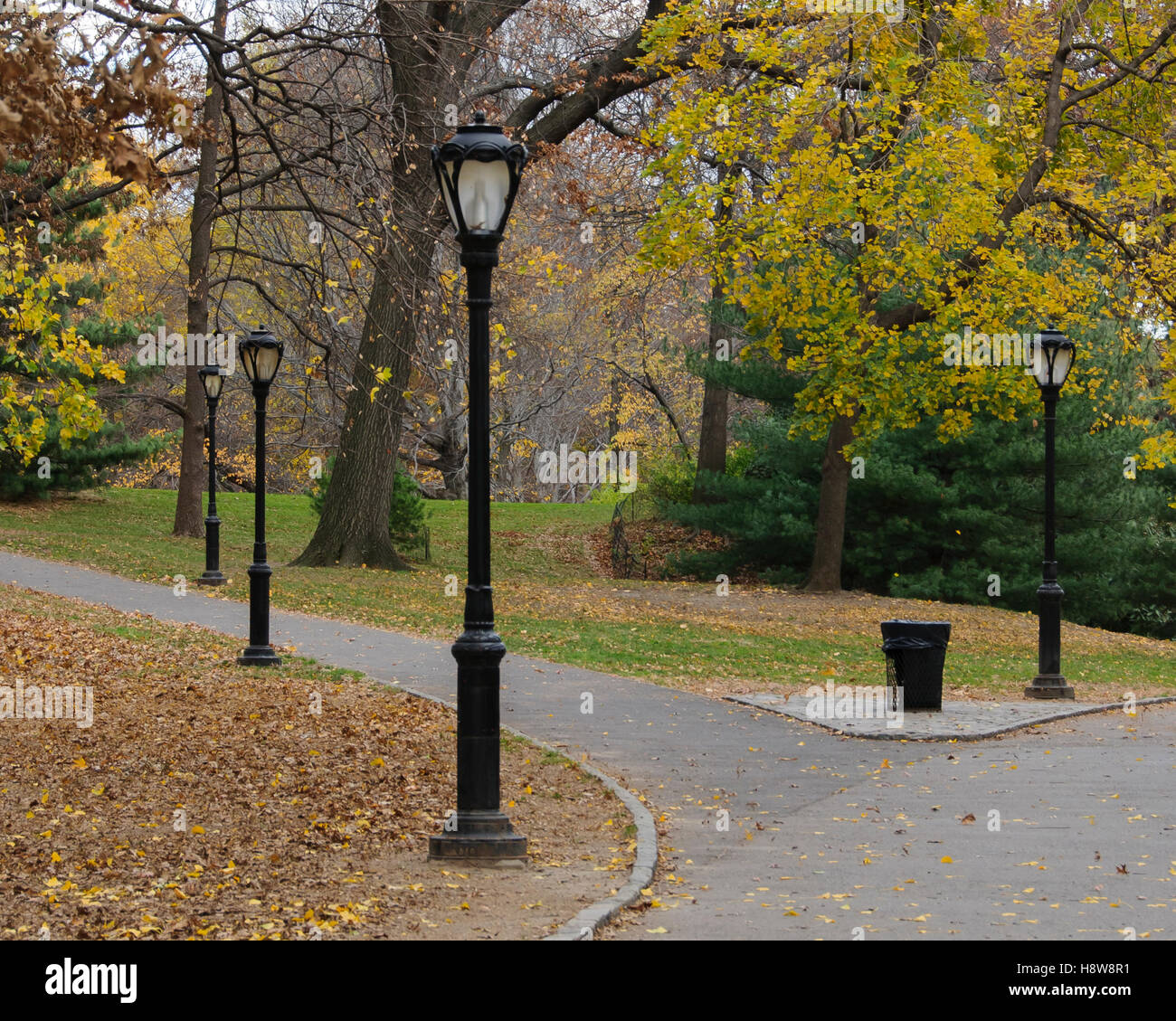 Autunno a Central Park di New York, con arancia e toni di verde Foto Stock