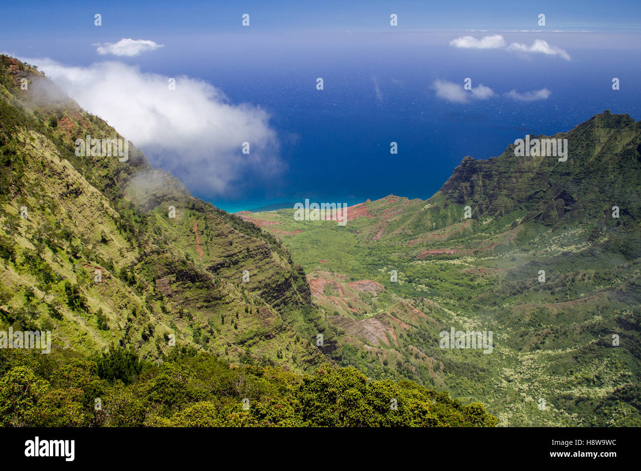 Vista dalla Kalalau Lookout in Kokee State Park in Valle Kalalau presso la costa di Na Pali in Kauai, Hawaii, Stati Uniti d'America. Foto Stock