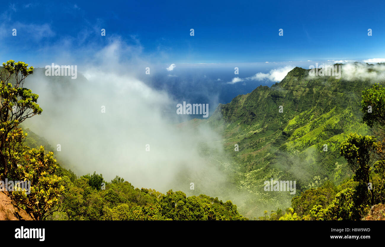 Vista dalla Kalalau Lookout in Kokee State Park in Valle Kalalau presso la costa di Na Pali in Kauai, Hawaii, Stati Uniti d'America. Foto Stock