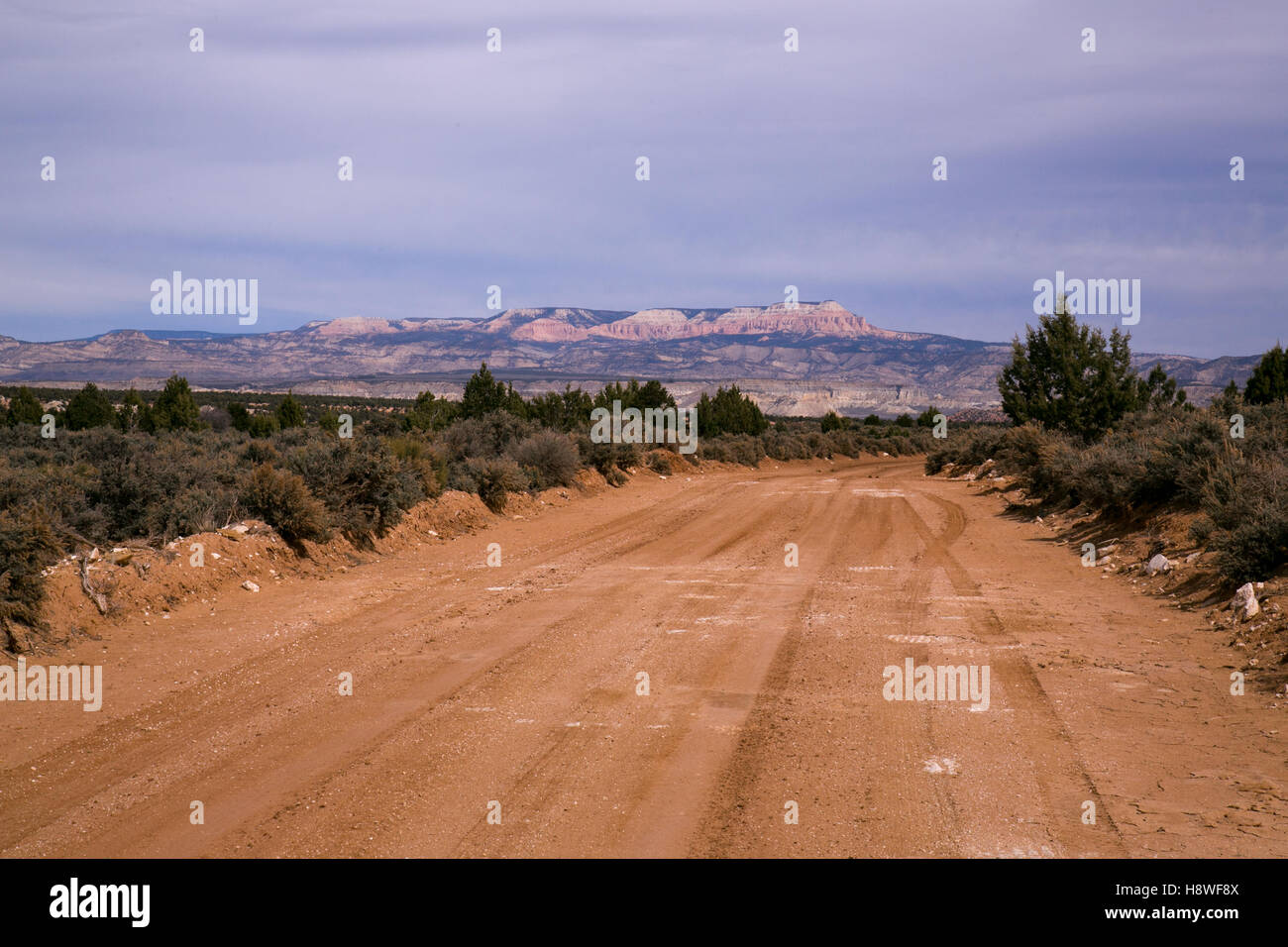Vedute lungo la skutumpah percorso stradale nel sud dello Utah. Foto Stock