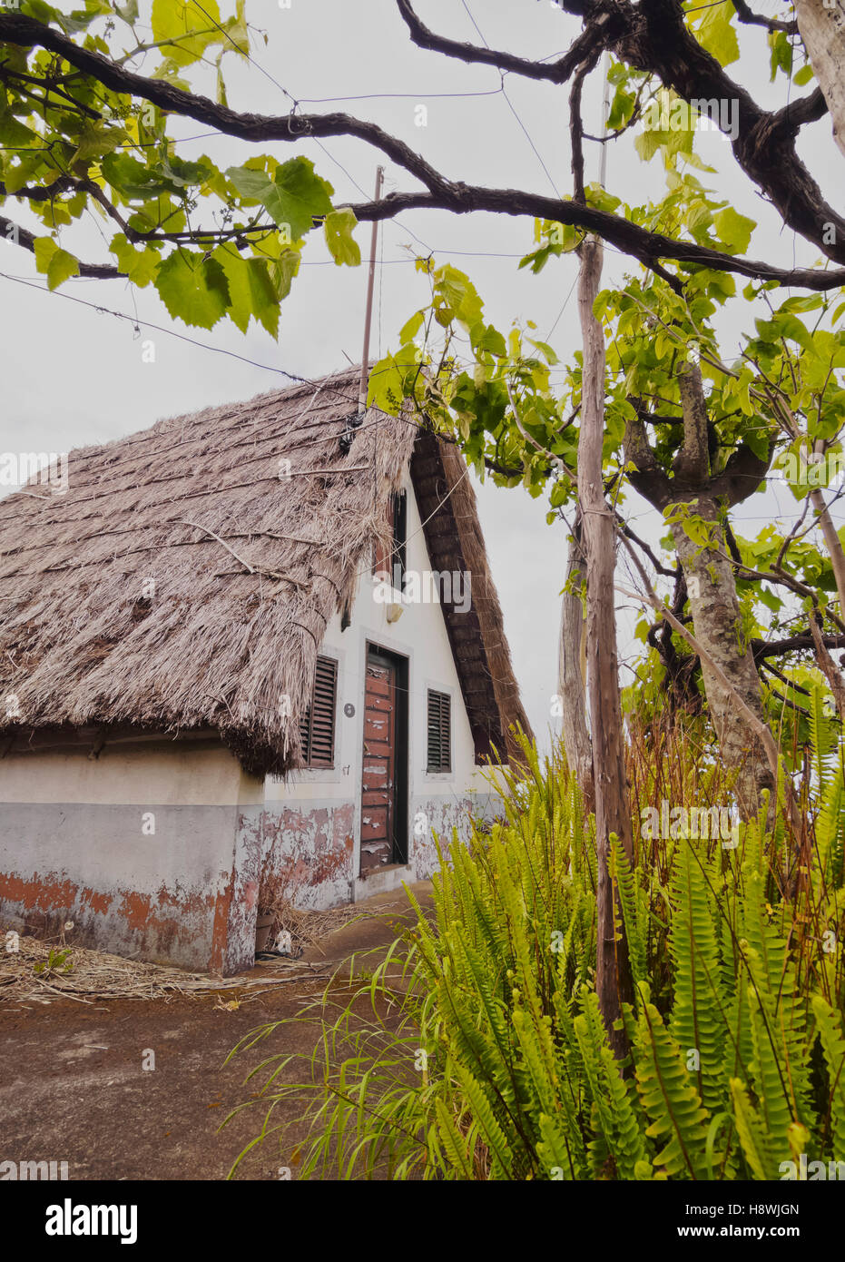 Il Portogallo, Madera, tradizionale in una casa rurale Santana. Foto Stock