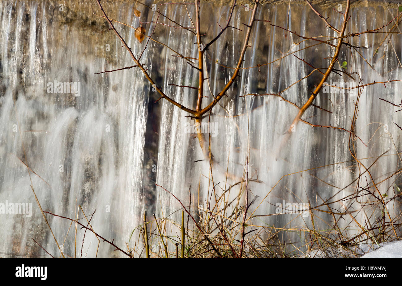 Acqua colata di rocce e Bush. Foto Stock