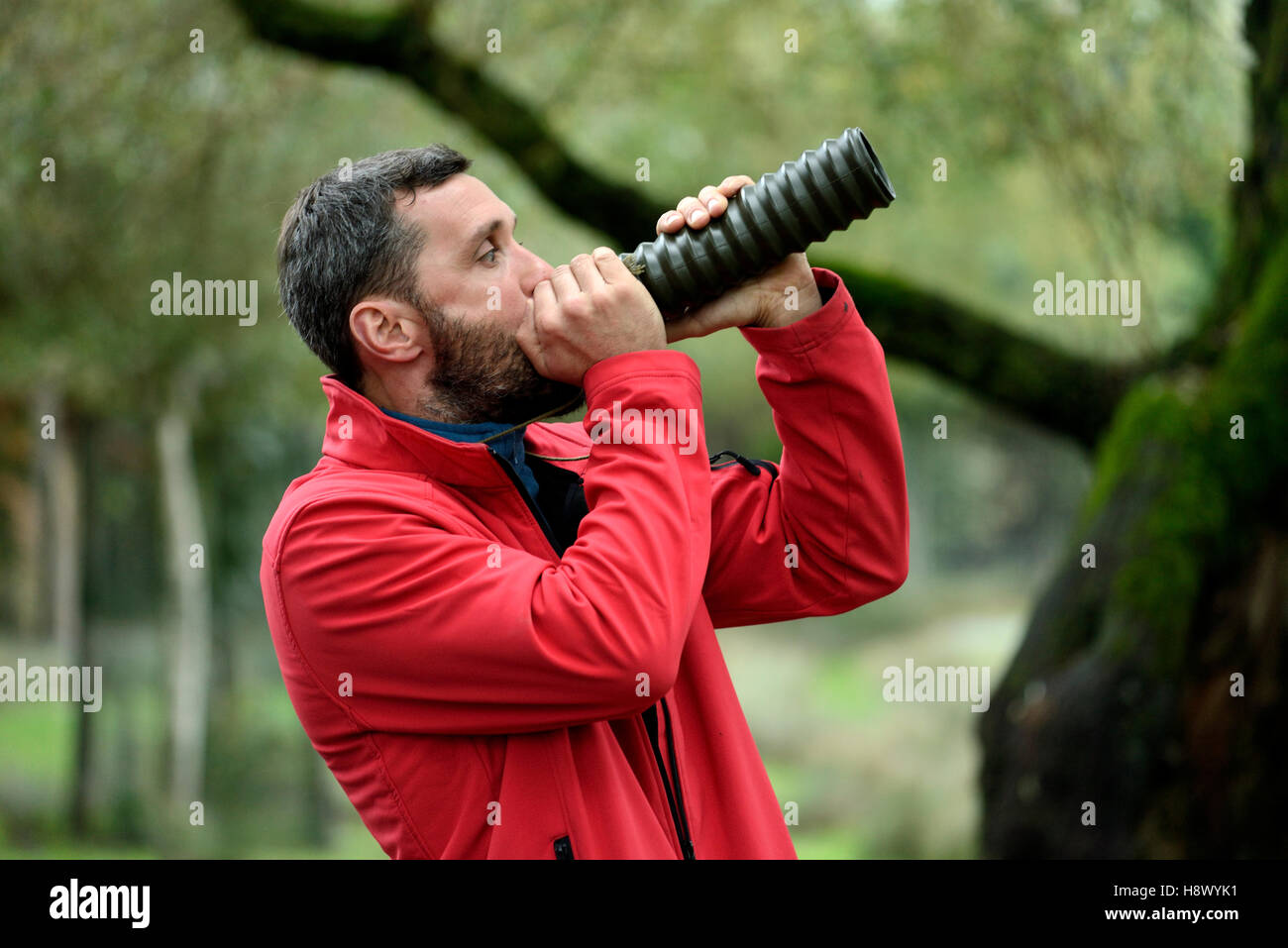 Moderatore imitando un cervo che la bramma in un parco faunistico Foto Stock