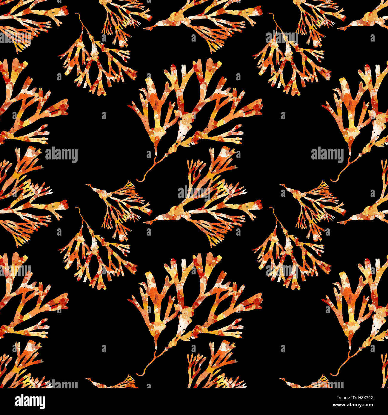 Alghe coralline pattern su sfondo nero Foto Stock