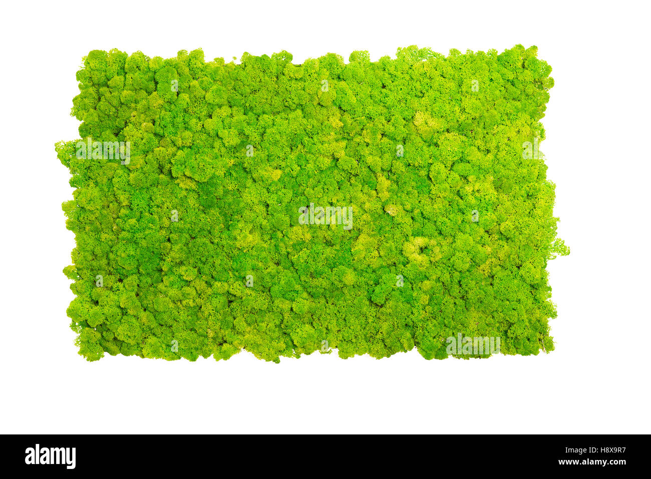 Verde Pantone renna verde muschio parete decorazione interna di colore verde, isolato su bianco, adatto per mock ups Foto Stock