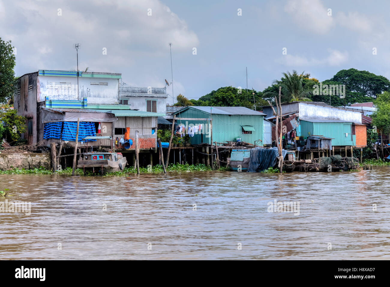 La vita lungo il fiume Mekong in Cai Be, il Delta del Mekong, Vietnam Asia Foto Stock