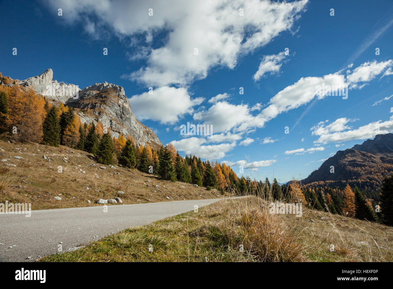 Pomeriggio autunnale nelle Alpi Carniche vicino a Sappada, Italia. Dolomiti. Foto Stock