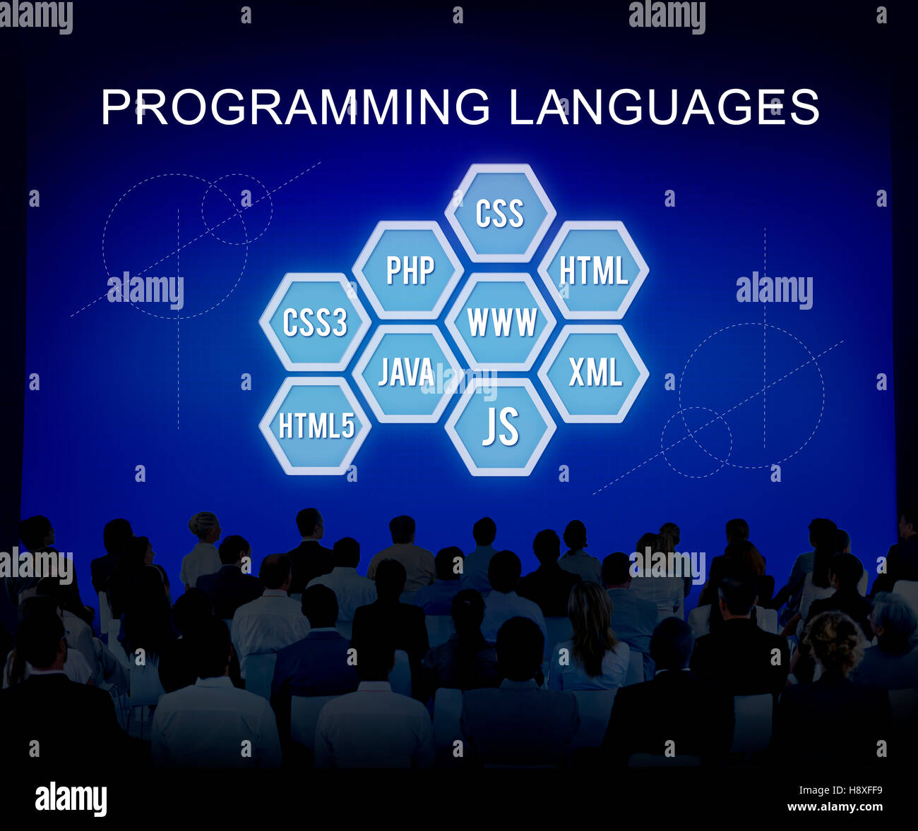 Linguaggio di programmazione sviluppatore di codifica il concetto di Software Foto Stock