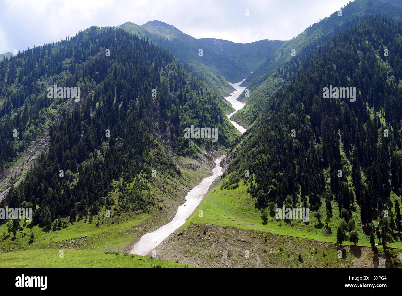 Snow congelati Himalaya fiume nella valle del Kashmir a Sonamarg montagna himalayana con alberi forestali panorama Kashmir India Foto Stock