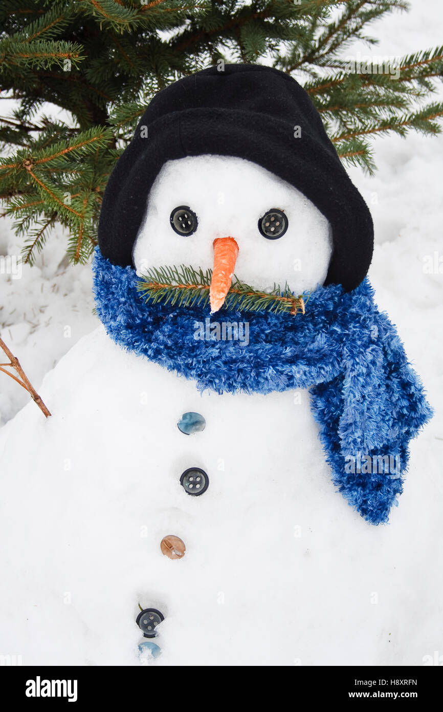 Pupazzo di neve con cappello, sciarpa e carota naso Foto Stock